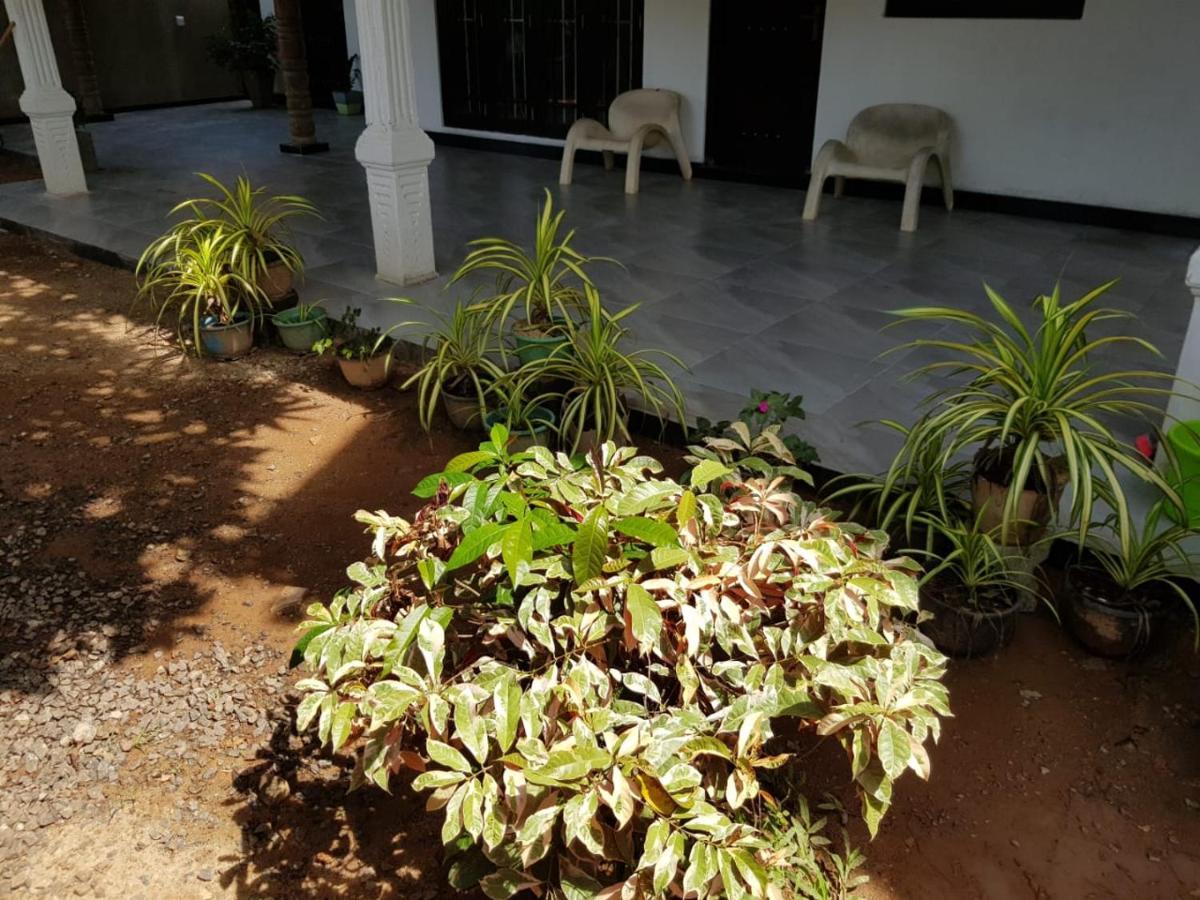 Jungle Reef Rest Hotel Mirissa Ngoại thất bức ảnh