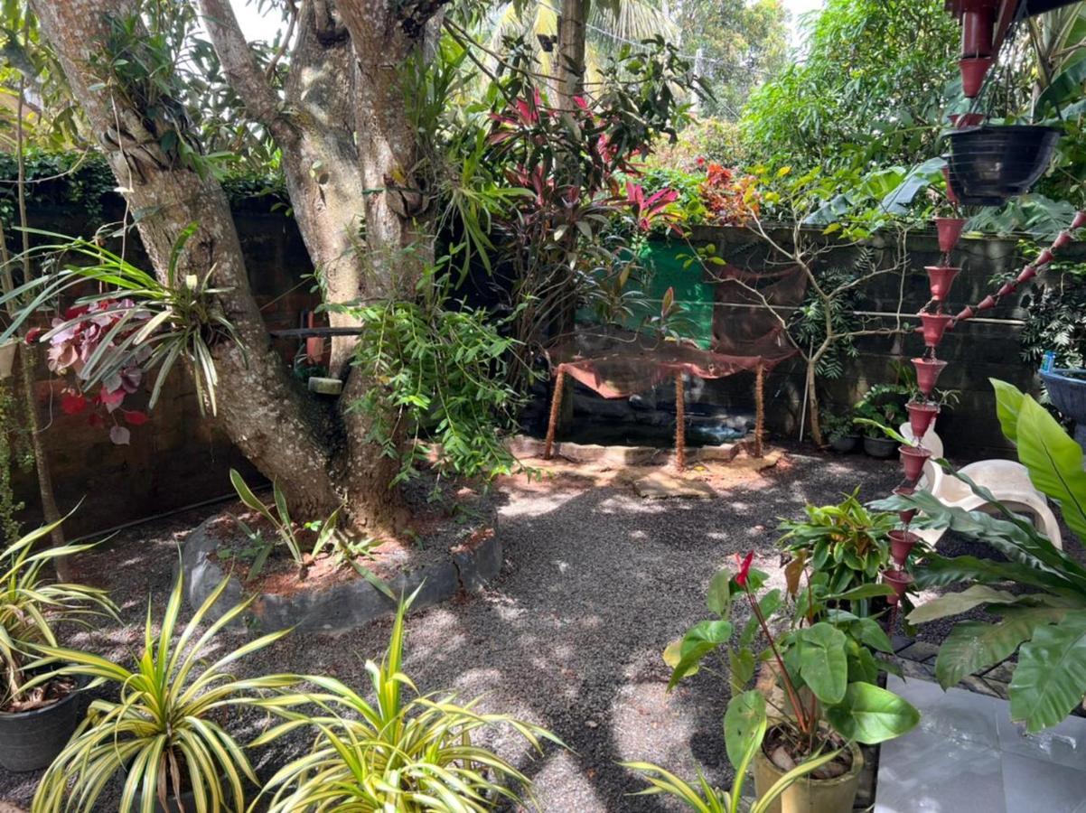 Jungle Reef Rest Hotel Mirissa Ngoại thất bức ảnh